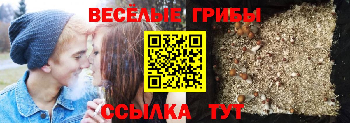 Галлюциногенные грибы GOLDEN TEACHER  Вход с VPN  Донецк 